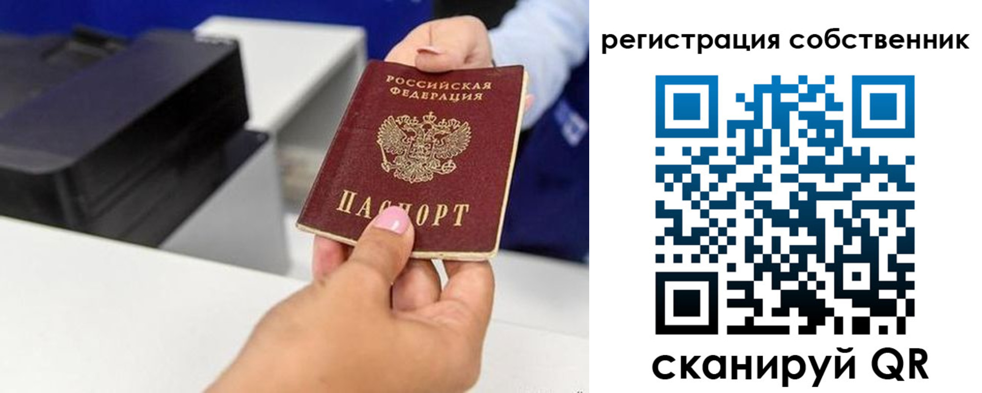 прописка для школы в Ярославле